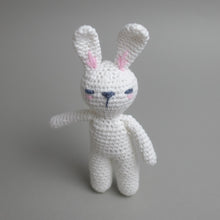 Load image into Gallery viewer, Newborn Crochet Toy - The Sleepy Bunny
